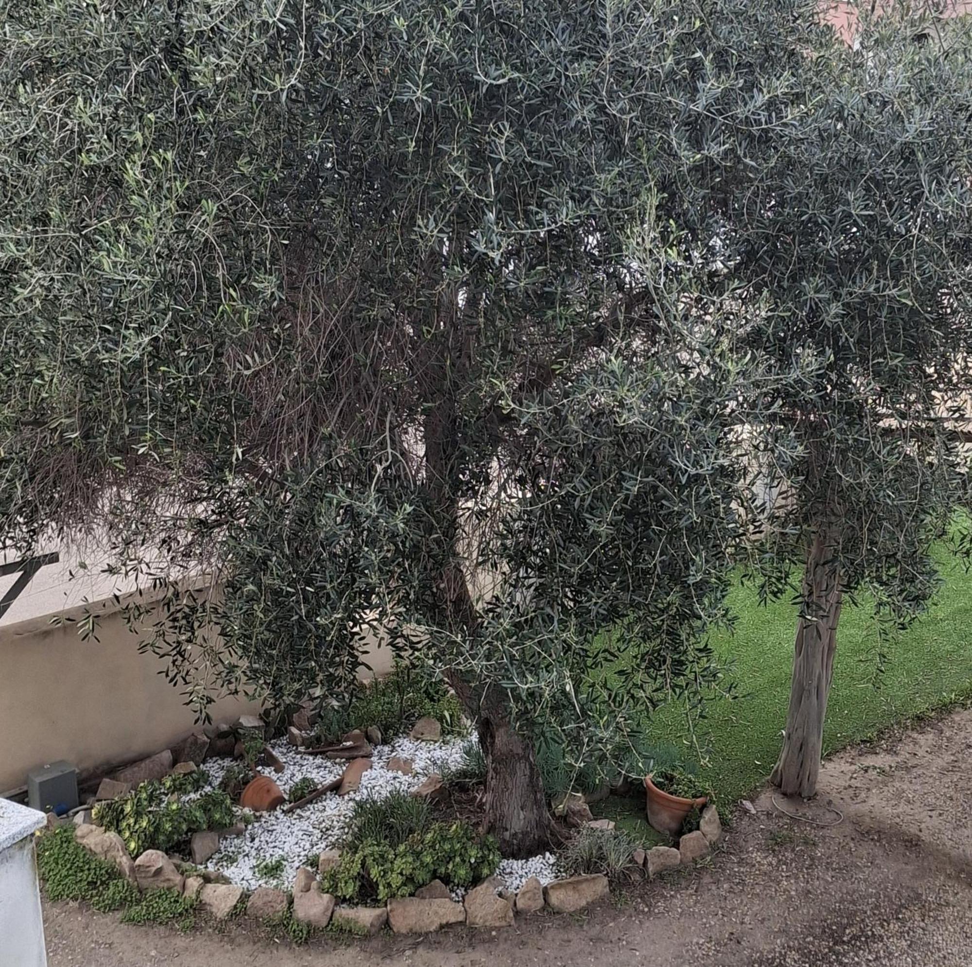 Valle Appartement